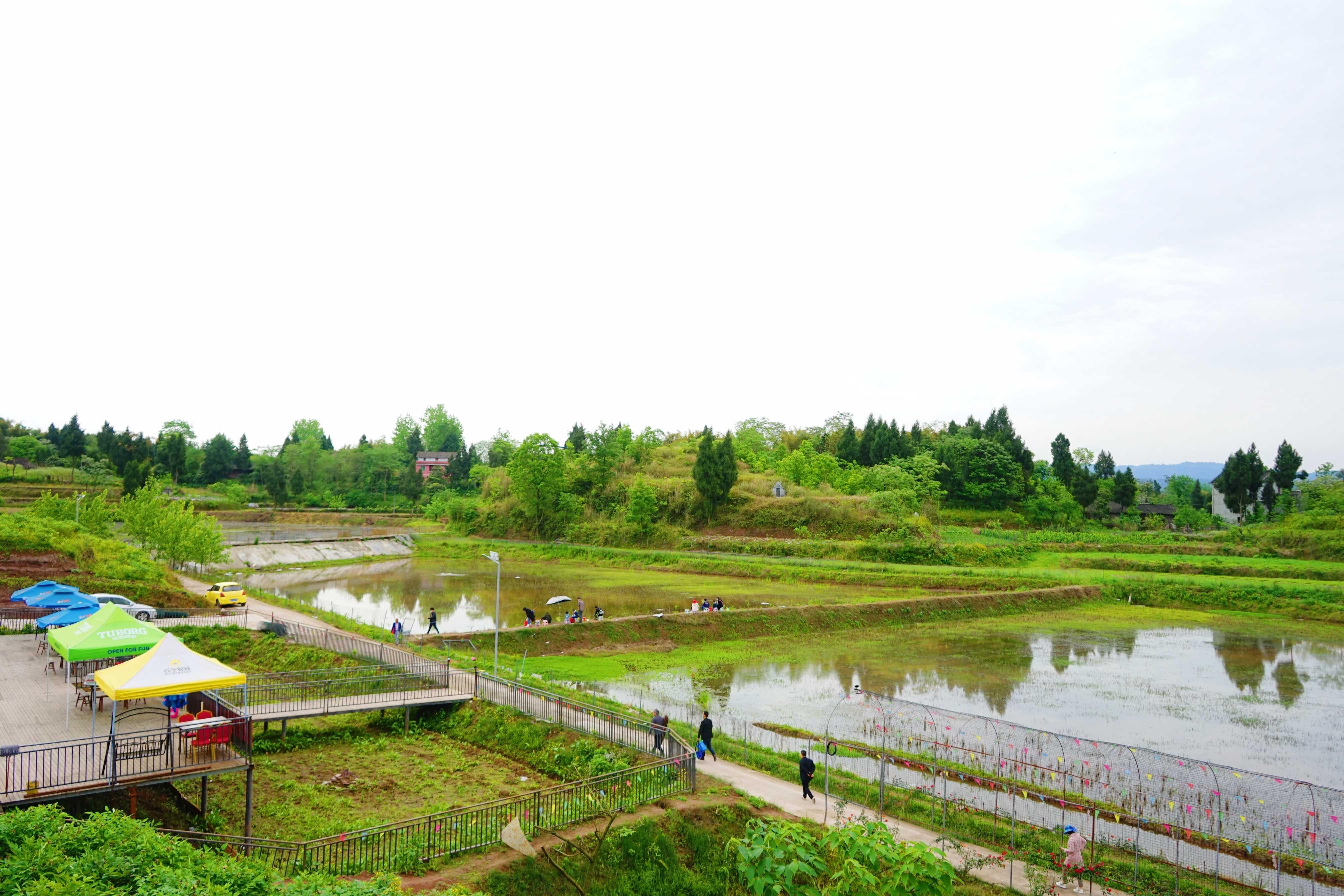 高坪未来蓝图揭晓，美好愿景即将启航