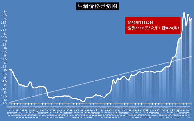 最新全国猪价动态