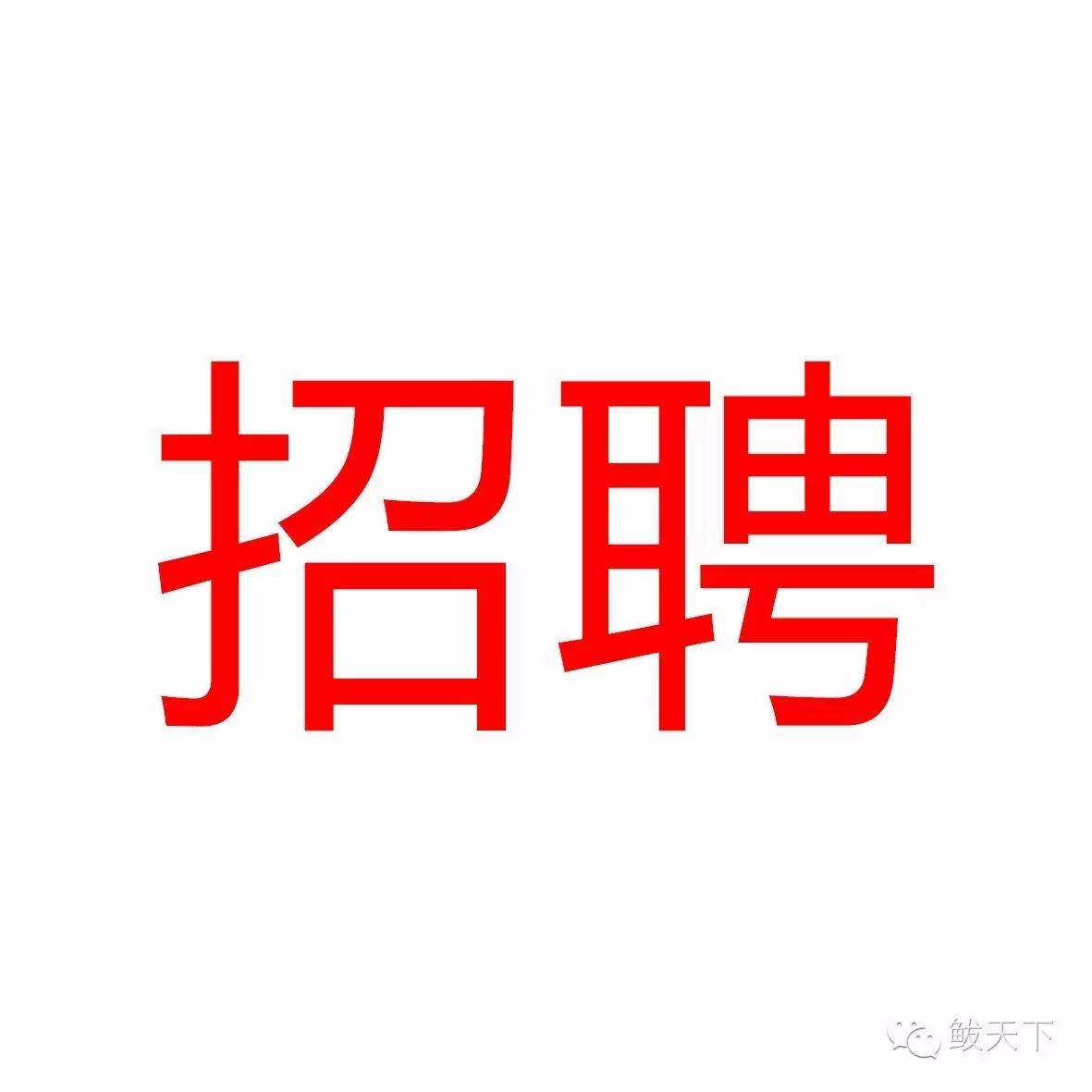 “河北招聘资讯速递”